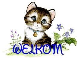 dieren kyara en ma&Iuml;t&eacute; 